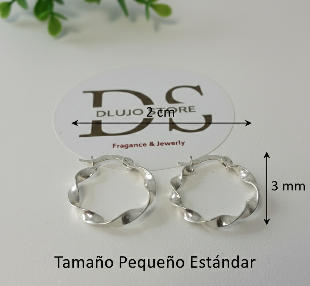 Arracadas “Twist Robbinson” en Plata de Ley 925 – 2 cm